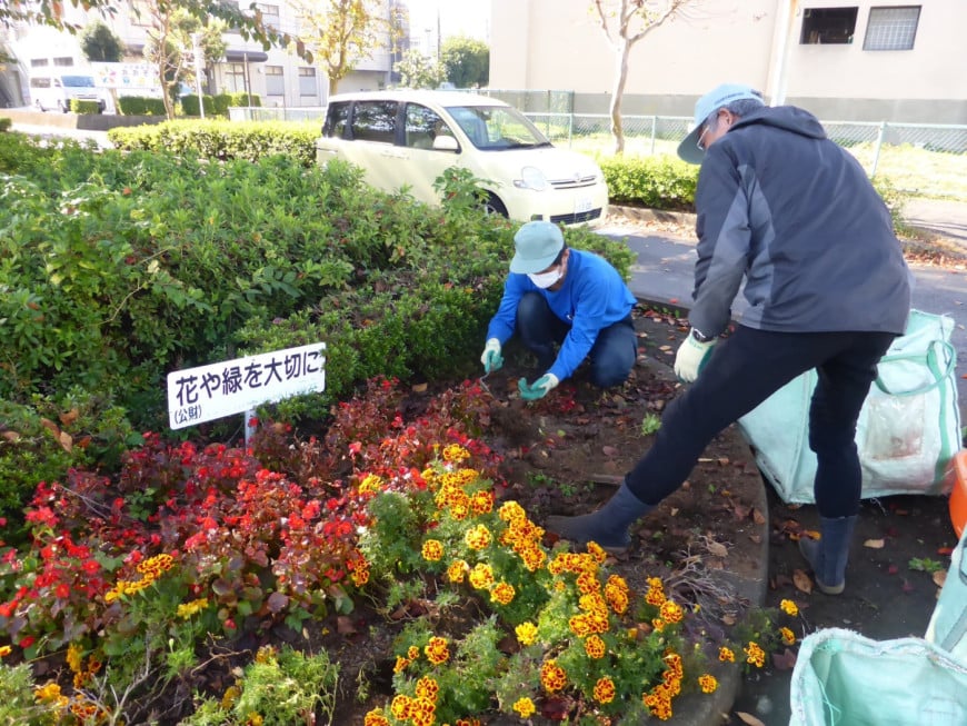 花壇植付け