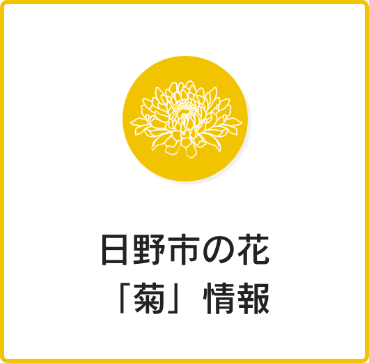 日野市の花「菊」情報